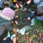 attività di piantumazione